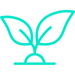 Calm, non-clinical environment